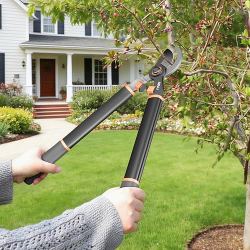 AIRAJ 21'' Bypass Loppers, Heavy Duty Tree Branch cutter, 2.5" Cut Capacity - size: 21'' Bypass Loppers