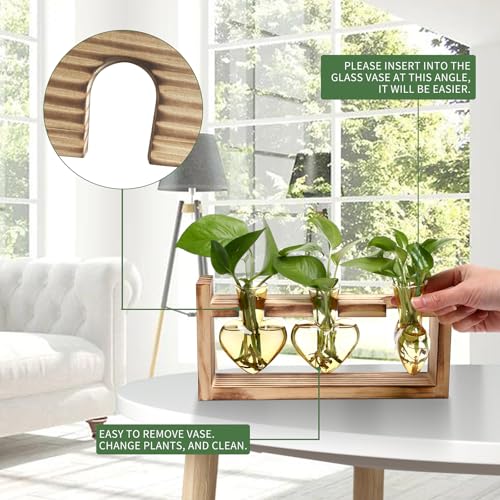 Plant Terrarium Propagation Stations Hydroponics - color: Gold