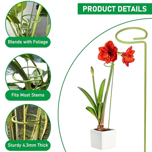 6-Pack Plant Stakes for Indoor Plants, 16 Inch Heavy Duty Adjustable Support Stakes & Tall Sticks for Monstera, Amaryllis, Orchid, Snake Plant, Single Stem, Indoor Outdoor - size: 16"Height, 6-Pack