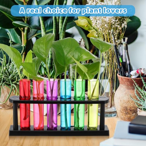 Kingdder 24 Pcs Plastic Test Tubes with Rack for Plant Propagation Station, 1.5 oz Shot Glasses Holder for Science Parties, Pouring and Storing Liquids, Hydroponic Plants Cutting Vase for Office Home