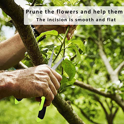 Green Micro Tip Garden Shears for Precise Trimming - Lightweight, Stainless Steel Hand Pruners, Flower Trimmers, and Bonsai Snippers