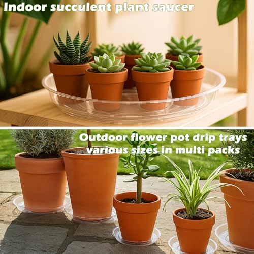 20 Packs 6 Inches Small Clear Plant Saucers for Indoor Outdoor Use Heavy Duty Plastic Plant Trays for Planter Bulk Flower Pot Drip Trays to Catch Water, 4 to 20 Inch - color: Clear/ 20 packs, size: 6 inches