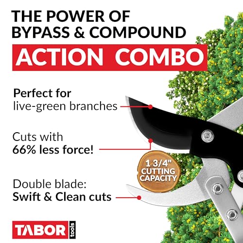 TABOR TOOLS GG11A Bypass Lopper with Compound Action, 30 Inch Tree Trimmer & Branch Cutter, Heavy Duty Tree Pruner with 1 3/4 Inch Cut Capacity, Delivers Clean Cuts with Ease - style: GG11A 30 Inch Bypass Lopper