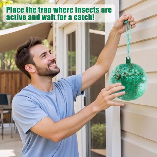6pcs Sticky Insect Trap Ball Osseph Fruit Fly Trap Balls for Indoor Outdoor - color: Green