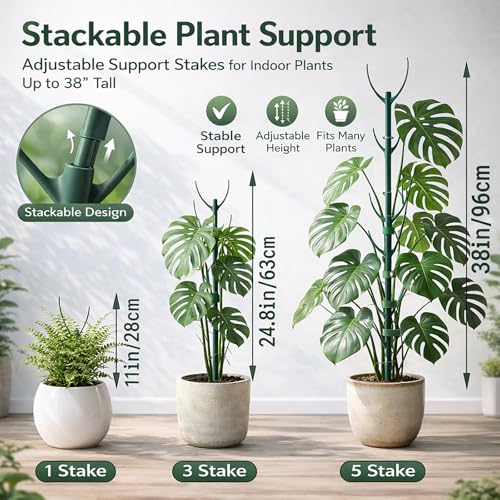 Plant Trellis Kit for Monstera Climbing Plant Support System Indoor