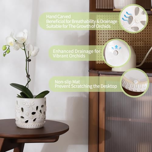 6.5" + 5" Ceramic Orchid Pot with Drainage Holes & Saucer - size: 6.5 Inch + 5 Inch - 2 Pack