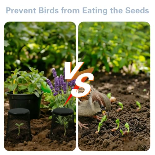 6 PCS Small Chicken Wire Plant Covers for Seedling, 3.5 Inch Mini Garden Cloches Metal Netting Protectors for Keeping Chicken Squirrels Birds Out, Only Suitable for Very Small Seedlings or Seeds
