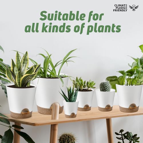 YNNICO Indoor Self Watering Planters with Drainage Holes and Saucers, 8, 7, 6.5, 6, 5.5, 5 Inches, White, 6 Pots - color: White, size: 8+7+6.5+6+5.5+5 inch