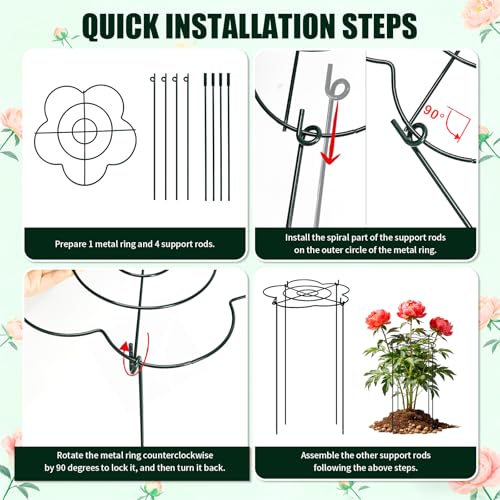 Peony Cages and Supports 8 Pack, 13" Dx24 H Grow Through Plant Supports,Heavy Duty Metal Plant Support Cage for Outdoor Flowers, Tomatoes, Hydrangeas, Cucumbers & Strawberries