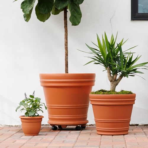 Bloem 16" Plastic Plant Caddy with Wheels, 150 lb Capacity, Terra Cotta - color: Terra Cotta, size: 16"