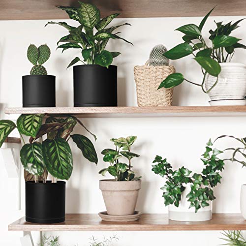 D'vine Dev 3-Pack Plastic Pots & Saucers, 4/5/6 in, Black, 74-V-B-1 - color: Matte Black, size: Small