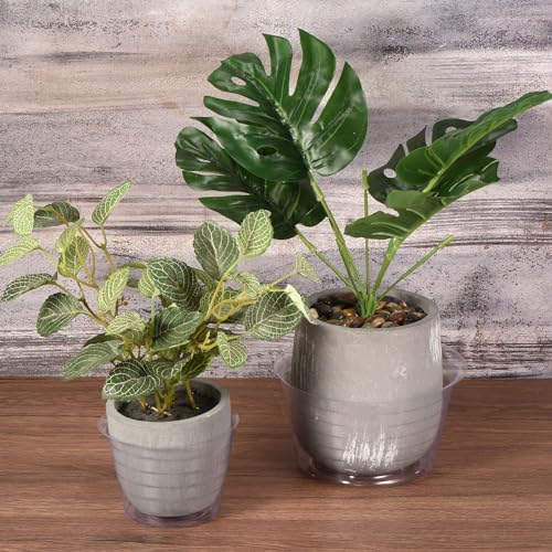 M METERXITY 5 Pack Planter Saucers - Thin Plastic Plant Tray Flowerpot Drip Trays Round Apply to Outdoor/Garden (10 Inch, Clear) - size: 10 Inch