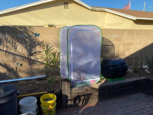23.6" Outdoor Mesh Plant Enclosure, Plant Cover for Pests, Bird and Pest Protection Guard for Fruit, Vegetables, Flowers and Herbs Pop-Up Cage 15.7 x 15.7 x 23.6 Inches - size: 15.7 x 15.7 x 23.6 Inches