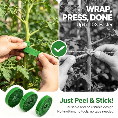 3 Pack Plant Ties Garden Ties for Stakes | Reusable Hook-and-Loop Fastening Tape for Climbing Plants, Cable Organization, Cut-to-Length 16.5ft per Roll, 1/2 in Wide, Green
