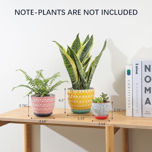 Selamica Ceramic Plant Pots, Indoor Flower Pots for Indoor Plants, 3.5+4.6+5.5 Planters with Drainage Hole & Saucer, Set of 3, Home Decor, Assorted Colors - color: Assorted Colors, size: 3.5+4.6+5.5 Inch