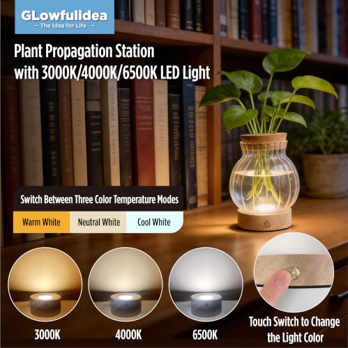 Plant Propagation Station with Three Color & Stepless Dimming LED Light - size: Striped Spherical