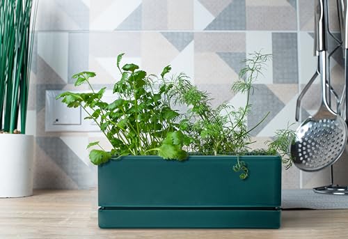 D'vine Dev Rectangular Planter, 12 x 4.5 in, Green, Set of 1, 76-X-C-1 - color: Green