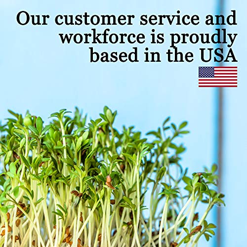 Handy Pantry 10-Pack 1020 Garden Growing Trays Without Drain Holes 10" x 20 - size: 10 Pack, style: No Drain Holes