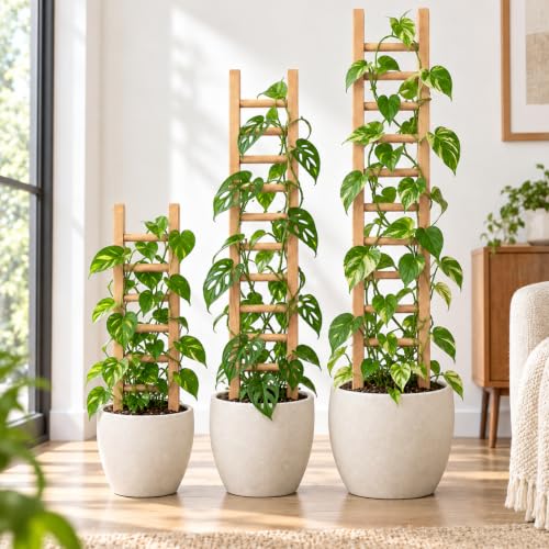 16" Wooden Trellis for Pothos & Climbing Plants - Indoor Support - size: 16" H