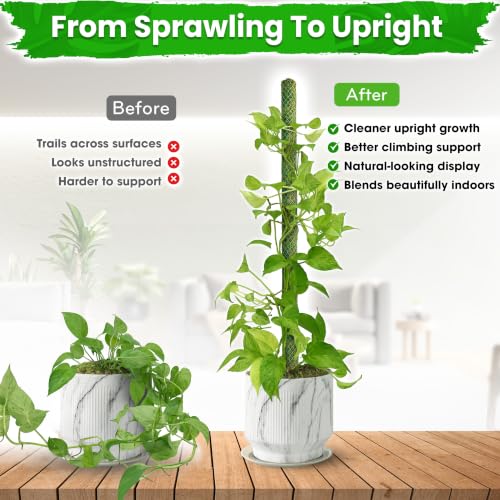 DUSPRO 42" Mesh Moss Pole for Climbing Plants, Pre-Made & Easy to Set Up - size: 42"