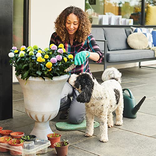 Worth 22'' Tall Urn Planters for Outdoor Plants Set of 2, Large Flower Pots - color: Beige