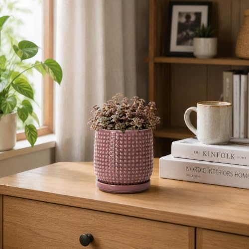 D'vine Dev Beaded Ceramic Pot with Saucer, 4 in, Blush Mauve, 27-C-Z-K - color: Blush Mauve, size: 4.3 Inch