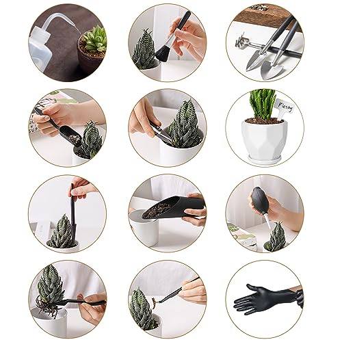 Melphoe 25Pcs Mini Garden Hand Transplanting Succulent Tools Set, 39.4" Thickened Repotting Mat & Plant Tag, Miniature Planting Indoor Fairy Care, Potting, Cactus, Houseplant Bonsai Tool Kit (Black) - color: Black