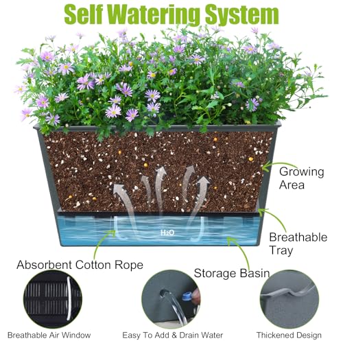 Window Box Planter 6 Pcs, 12.6 Inches Self Watering Rectangle Flower Plant Pots with Drainage Holes & Breathable Trays, Vegetable Planters for Windowsill Patio Garden Balcony Porch Yard (Dark Green) - color: Dark Green, size: 12.1*6.4*6.3 inch