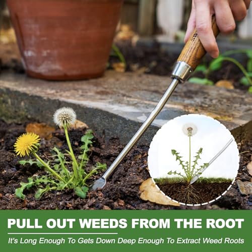 Haliaeetus Hand Weeder Tool, 13'' Weed Puller Tool for Reaching the Root