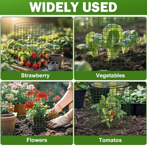 Plant Protector from Animals, 4 Pack 16”x 16" Wire Cage Cloches