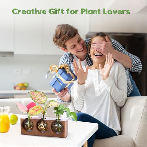 Wooden Stand Plant Propagation Station with 9-Level Adjustable LED Lights