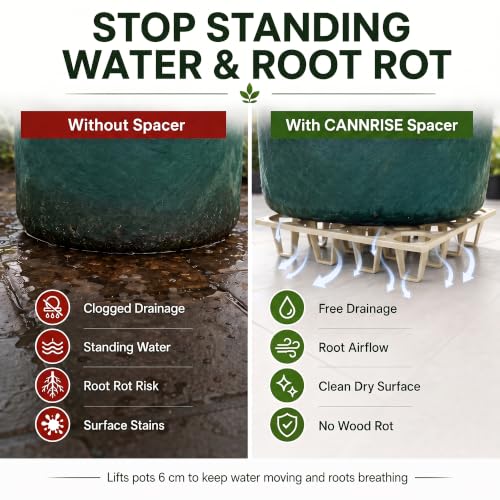 Plant Riser – Pot Spacer for Grow Bags, Planters & Containers – UV-Resistant Drainage Tray for Airflow, Root Health & Cleaner Surfaces (Standard White, 5 Pack) - color: Standard White, size: 5 Pack