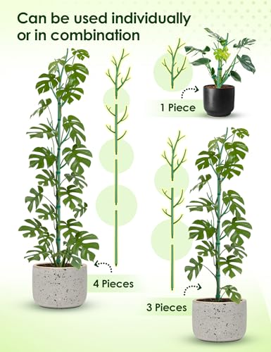 NiHome 50" Plant Support Stakes 5-Pack for Indoor & Outdoor Climbing Plants - color: Green 50"-5 Pack