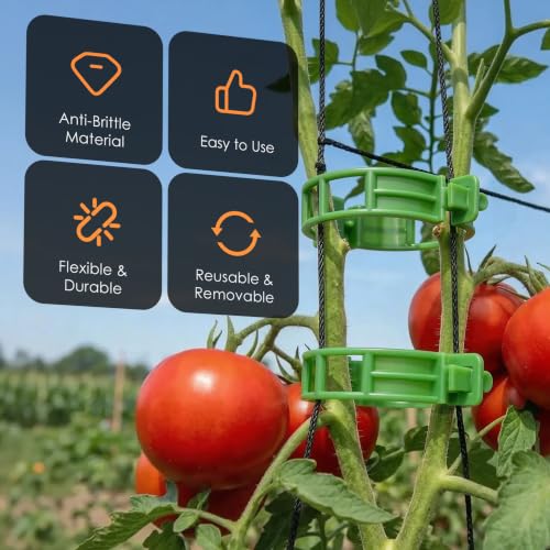 100Pcs Tomato Clips for Climbing Plants Trellis Plant Support Clips - color: Green