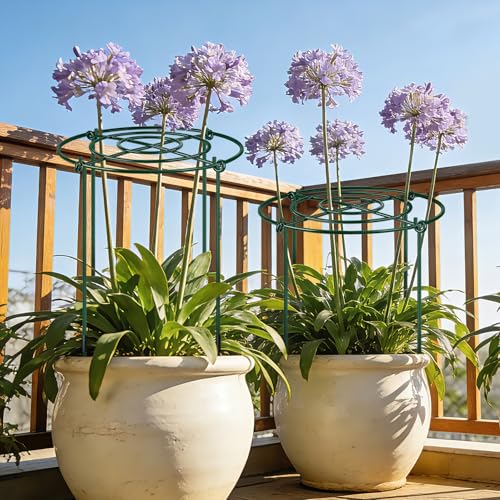 QwayHome 3Pack Peony Cages and Supports 33''H x 13''D Grow Through Large Plant Support, Adjustable High, Heavy Duty, Rust-Resistant, Round, Flower Support Cage Ring for Rose Tomato Hydrangea - size: 3Pack- 13"D x 33"H