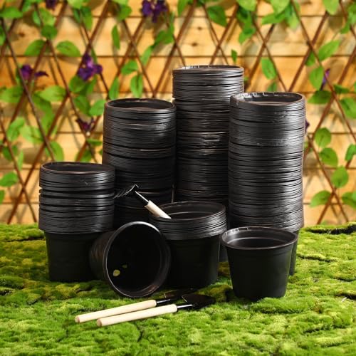 Hushee 1500 Pcs Plastic Plants Nursery Pots - Seed Starting and Seedling Planters With Drainage Holes for Indoor Outdoor Flower Transplanting - color: Black, size: 6 Inch