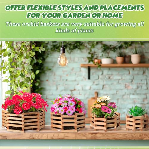 4 Pcs Wooden Orchid Baskets with Hangers for Outdoor Plants, Rustic Handmade Vanda Baskets, Hanging Orchid Planter, 4 Size