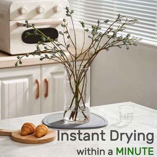 Relime Diatomaceous Earth Plant Saucer for Indoor, 2 Pack Irregular 6 Inch 12 Inch, Instant Dry Pot Saucer, Plant Drip & Drainage Tray for Indoor, Stone Gray - color: Gray, size: Irregular 6" 12"