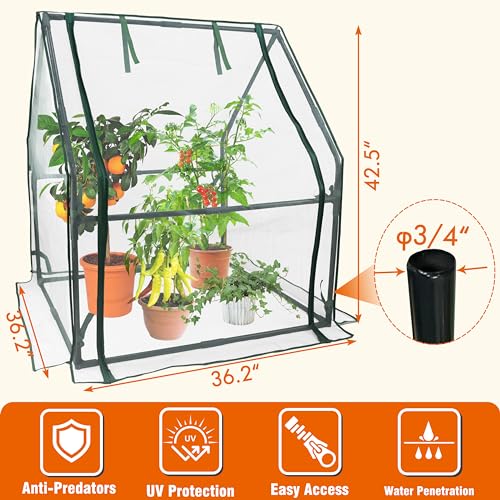 Gardzen Mini Greenhouse with Zipper Mesh Cover 36.2"(L) x36.2(W) x42.5(H) - size: 36”(L) x36”(W) x42”(H)