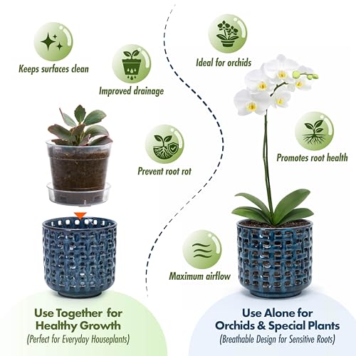 D'vine Dev Orchid Pot, Clear Pot & Saucer, Midnight Blue, 4.5 in, 28-A-Z-2 - color: Midnight Blue, size: 4.5"