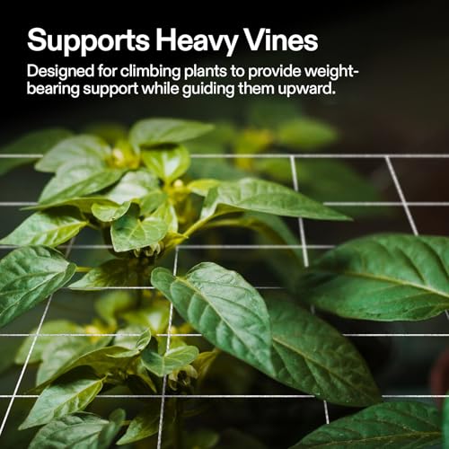VIVOSUN 5 x 15 ft. Plant Trellis Netting, Heavy-Duty Polyester Grow Net, Garden Trellis Netting with Square Mesh for Climbing Plants, Vegetables, Fruits, and Flowers, 1-Pack - size: 5'x15' - 3.5''square mesh