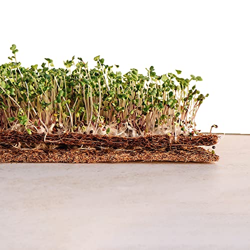 Envelor Coco Coir Fiber Microgreen Mat, Seed Starter, 9 x 9 Inches, 10 Pack - size: 9 x 9 Inches - 10 Pack