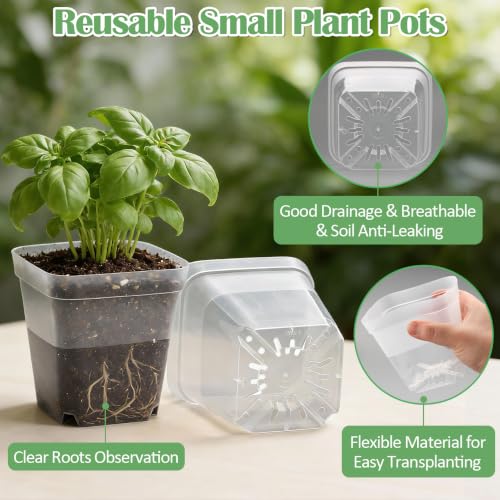 RooTrimmer 60 Pcs Clear Square Nursery Pots 4 Inch, Reusable Seedling Pots with Drainage Holes, Transparent Small Plant Potting Pot Containers for Seedlings Microgreens, Flowers, Indoor Gardening - color: Clear, size: 4Inch