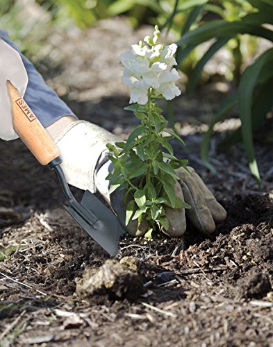 AMES 2446200 Tempered Steel Hand Transplanter with Wood Measurement Handle, 12-Inch - style: Wood Handle Hand Transplanter