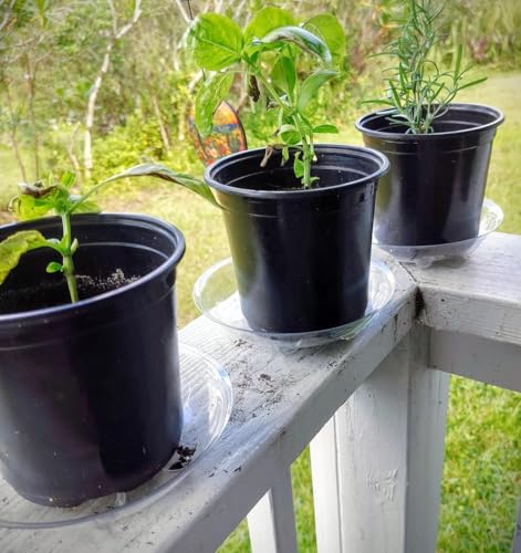 15 Pack Assorted Sizes 6 8 10 Inch Clear Thick Plastic Heavy Duty Sturdy Plant Saucer Drip Trays for pots, 5 Pieces of Each Size (Assorted Sizes 6'', 8'', 10'') - size: 6+8+10 INCH