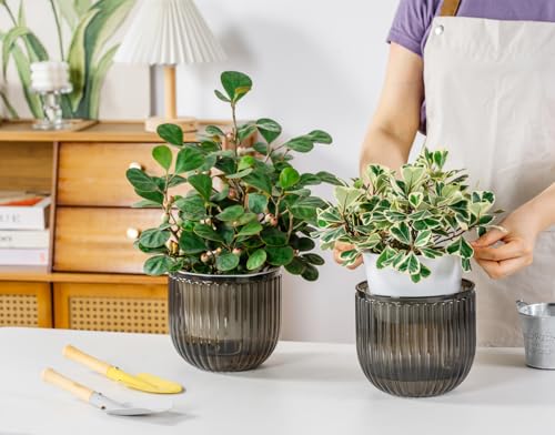 Melphoe Self Watering Pots for Indoor Plants Planter, 6.5 Inch 2 Pack Planters Self Watering Plant Pots for Flower, Houseplants, Succulent, African Violets and Cactus with Drainage - color: Light Grey, size: 6.5''