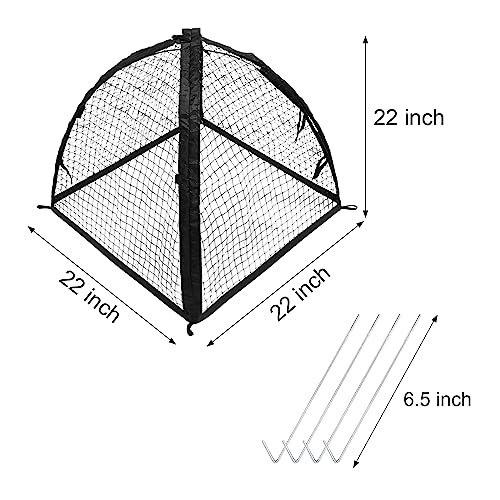 Strawberry Plant Protector,22 x22 x 22 Inch Cloche Dome for Plants