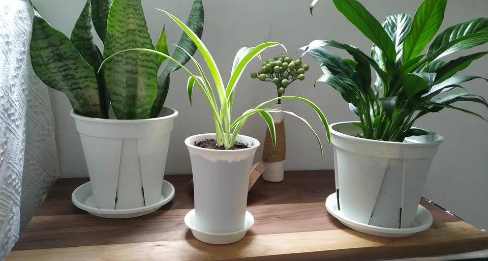 12 Pack 3.5 inch Plant Saucers Flower Pot Trays, Plastic Planter Drip Tray - size: 3.5"-12pcs