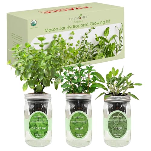 Hydroponic Herb Growing Kit Set, Self-Watering Mason Jar Herb Garden Starter Kit Indoor, Windowsill Herbs Garden. Grow Your Own Herbs from Organic Seeds (Mint, Sage, Oregano)
