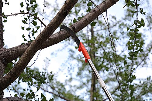 Pole Saw for Tree Trimming, Long Tree Trimmer Pole Saw 10FT, Manual Pole Cutter for Yard Garden and Patios Trees Branches Cutting - size: 10FT